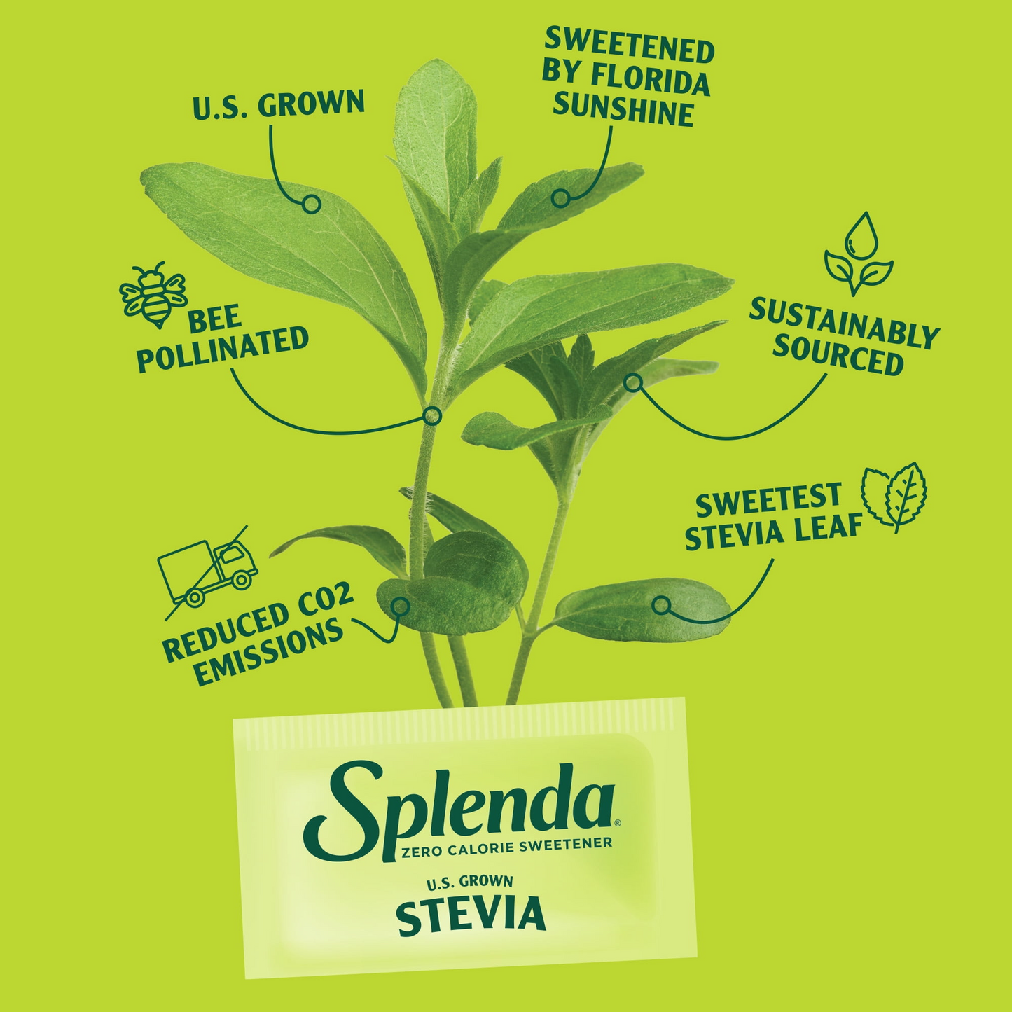 SPLENDA Stevia Zero Calorie Sweetener, Plant Based Sugar Substitute Granulated Powder, 9.8 oz Jar