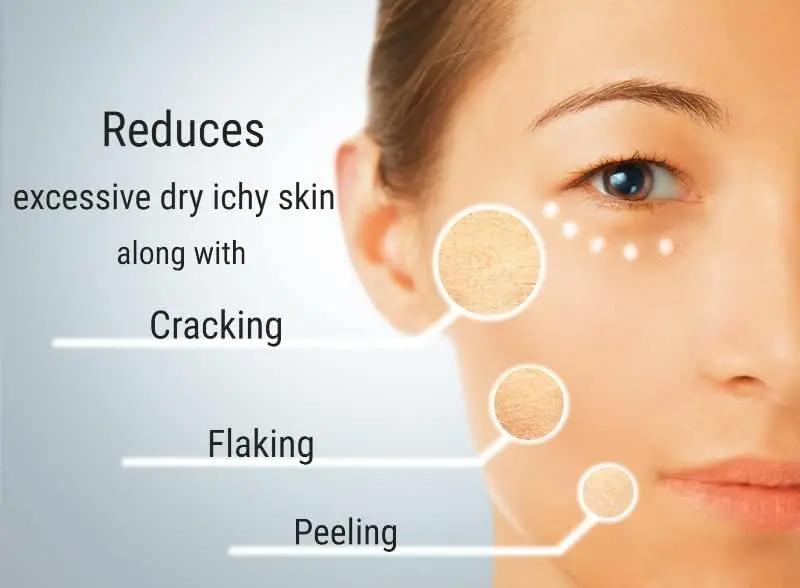 Desiree Diana Anti Aging Antioxidant Face Cream with Hyaluronic Acid 5% 1.7 oz for all Skin Types, Moisturizes, Increases Elasticity, Improves the Appearance of Fine Desiree Diana