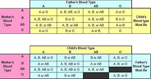 Eldoncard Blood Type Test Kit, Blood Typing Kit w/ Instructions
