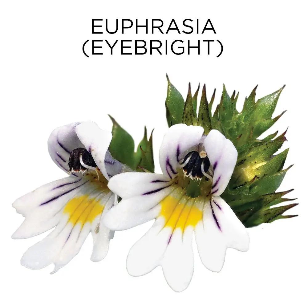 Similasan, Eye Relief Kids 2+ Irritated, 0.33 Fl Oz Similasan