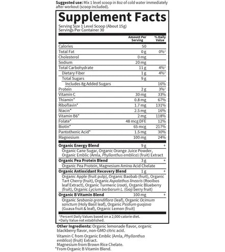 Garden of Life Sport Vegan Organic Plant Based Post Workout Muscle Recovery Powder for Men & Women - BlackBerry Lemonade 30 Servings, 100mg Magnesium, Antioxidants, Supplements, 15.7 Oz