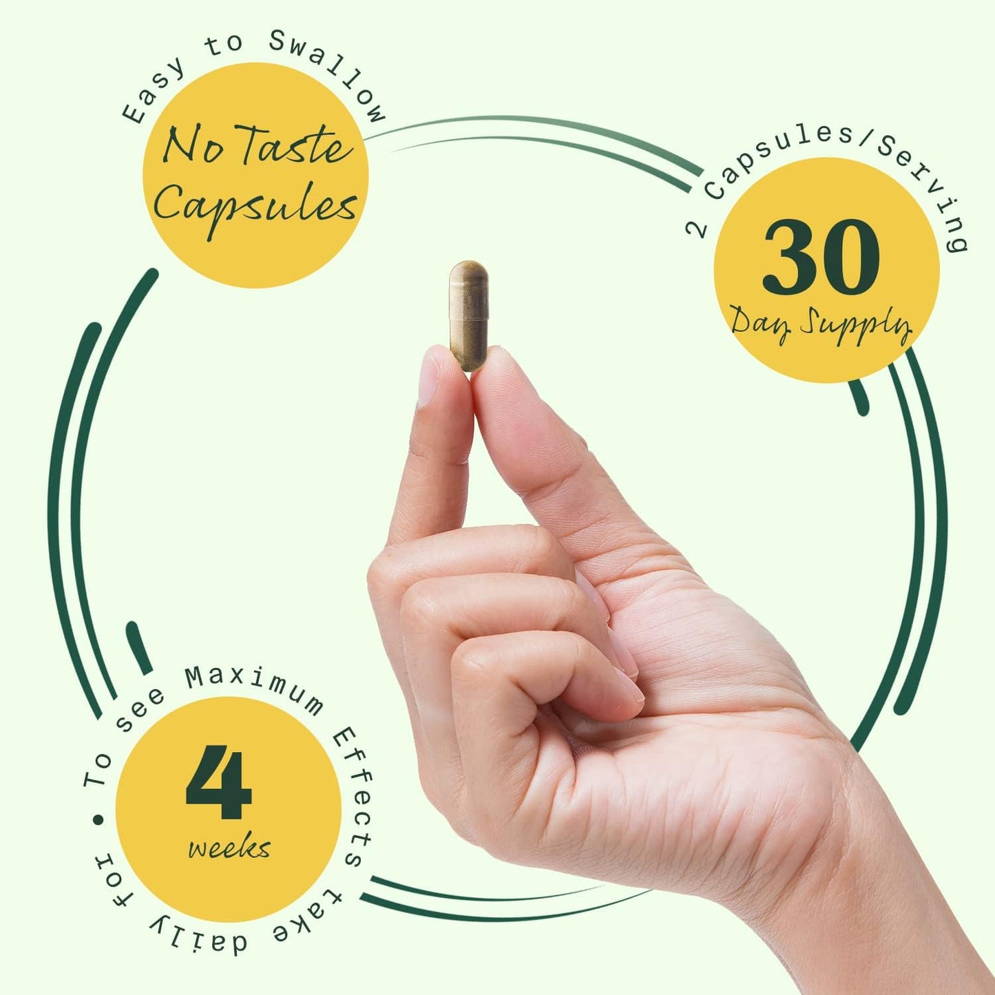 BetterLungs Daily Respiratory Health Supplement (60 Capsules) | with Vitamin D, Elderberry, Ginseng, Mullein, and Reishi Mushroom | for Lung Health, Allergy, Sinus, and Mucus Relief