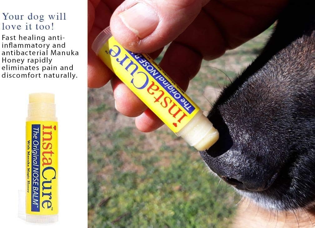 Fast Relief for Cracked, Dry and Sore Noses! InstaCure's Original Nose Balm with Raw Manuka Honey, Plus Coconut Oil, Shea Butter and Other Certified Organic Ingredients. Great Topical for Dogs' Noses!