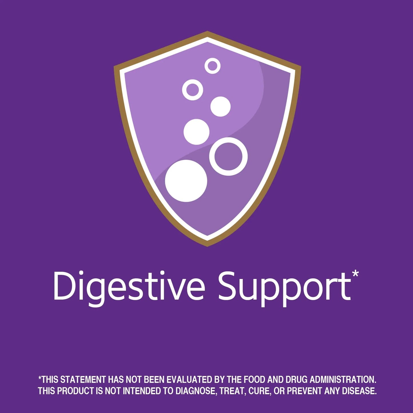 21st Century Digestive Enzymes, 60 Capsules 21st Century