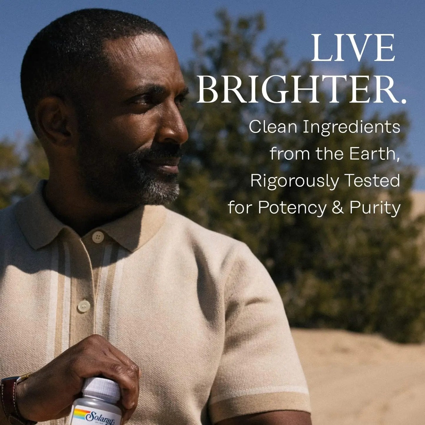 Solaray Mullein Leaf, Herbal Support for Healthy Respiratory and Bronchial Function and Soothing Support, Vegan, 100 Servings, 100 VegCaps SOLARAY