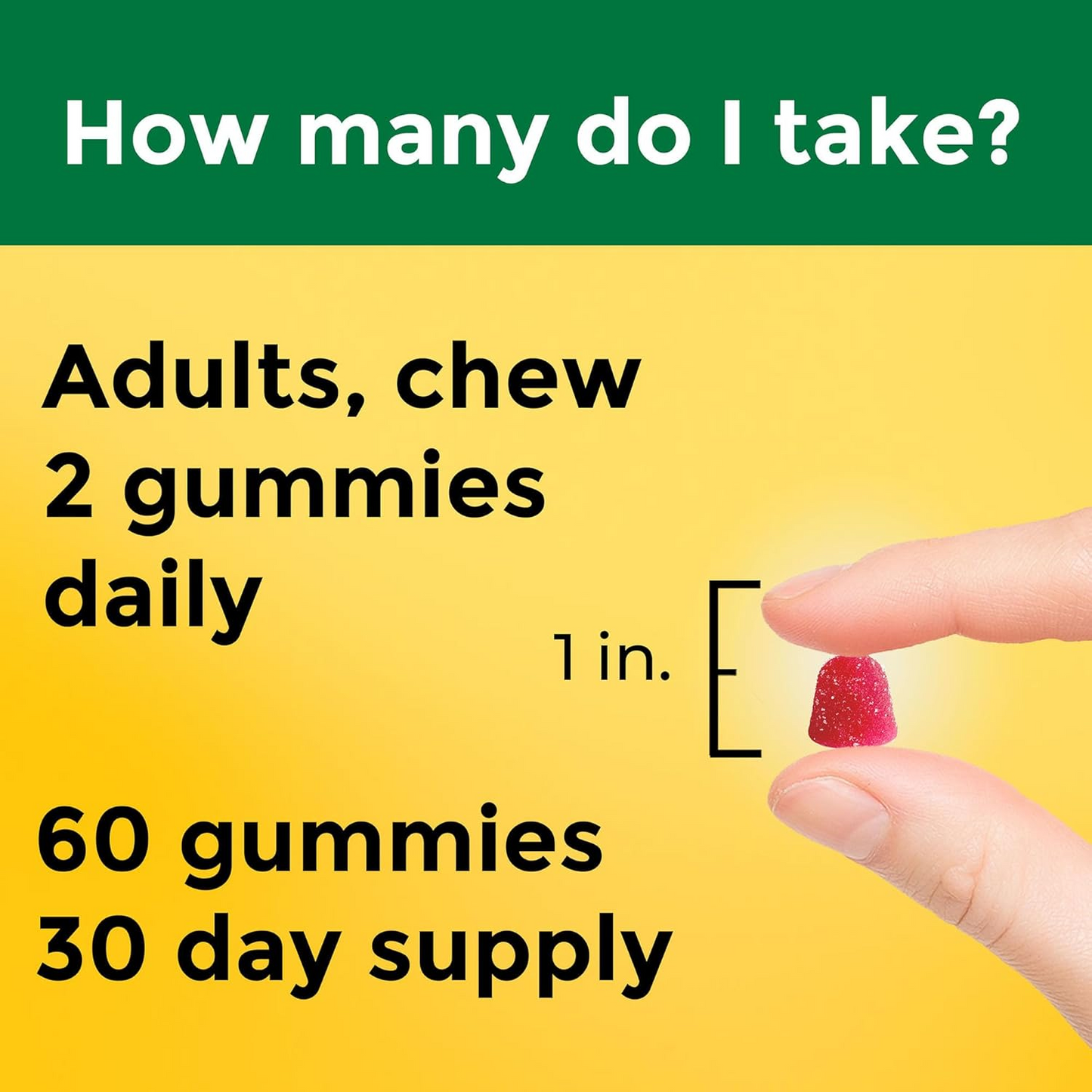 Nature Made High Absorption Magnesium Citrate 200 mg per serving, 60 Gummies, 30 Day Supply