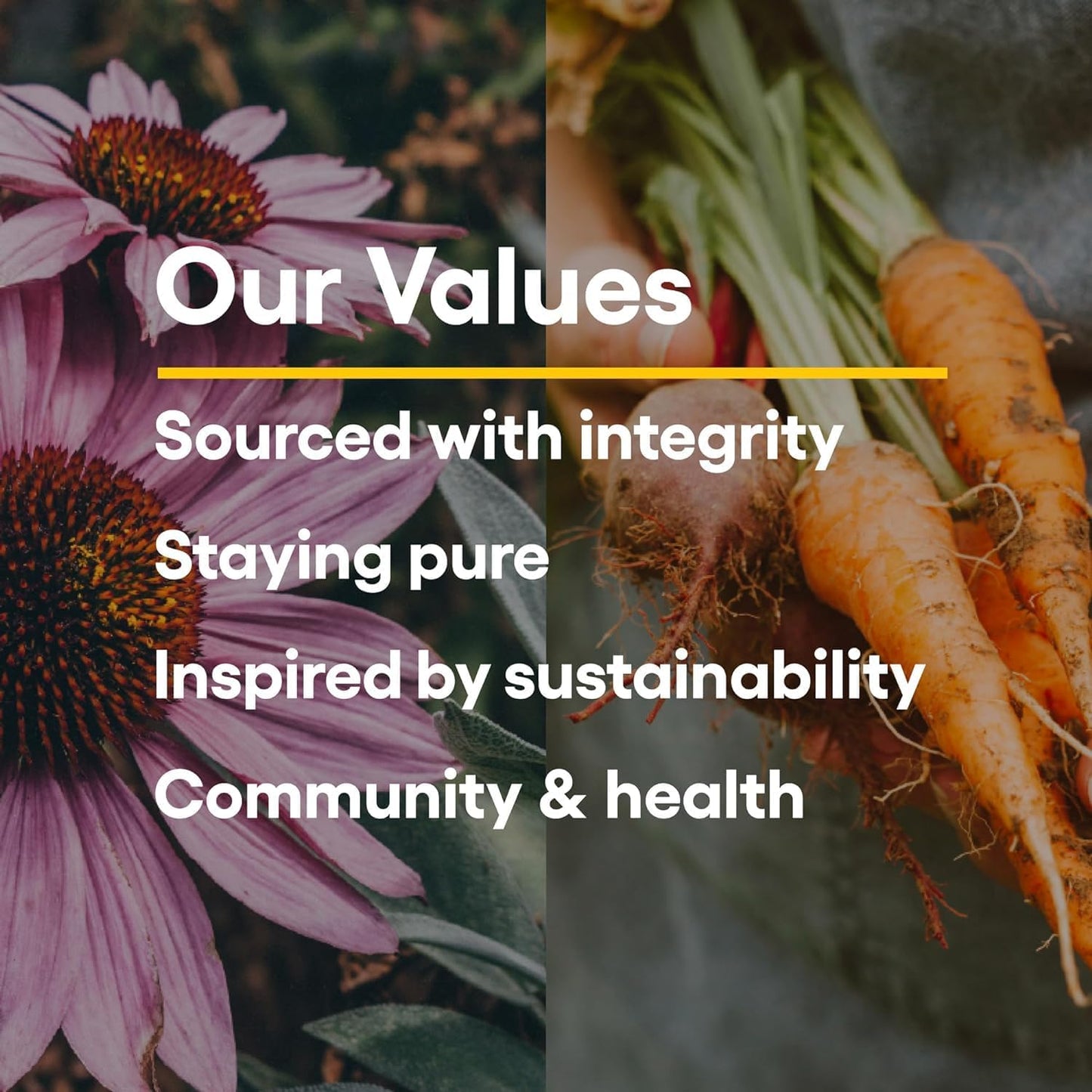 Natural Factors Pharma GABA Stress-Relax Chewable 100mg 60 Tablets Natural Factors