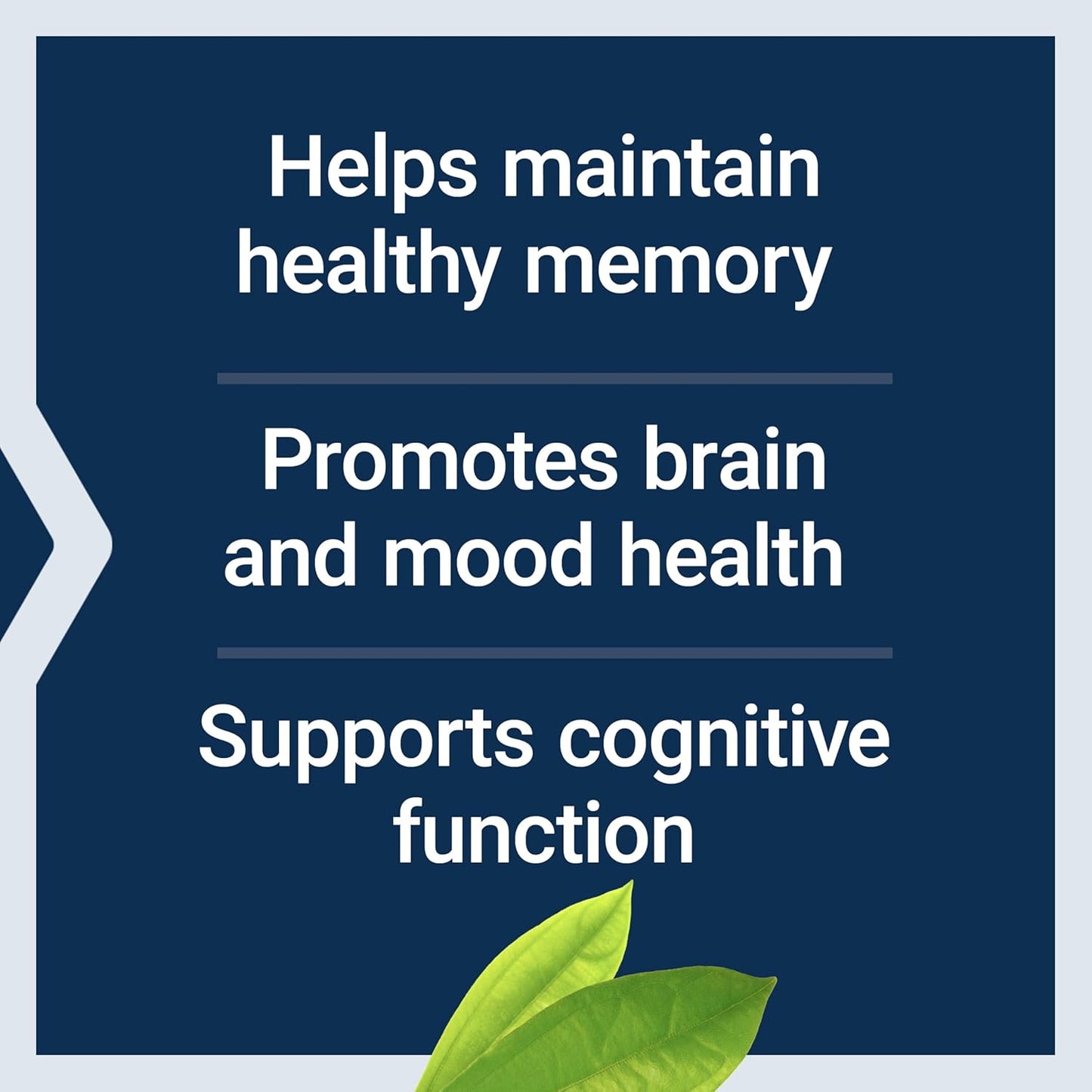 Life Extension, Memory Protect, 36 Vegetarian Capsules