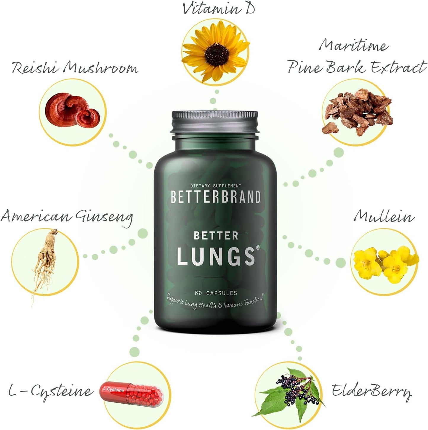 BetterLungs Daily Respiratory Health Supplement (60 Capsules) | with Vitamin D, Elderberry, Ginseng, Mullein, and Reishi Mushroom | for Lung Health, Allergy, Sinus, and Mucus Relief