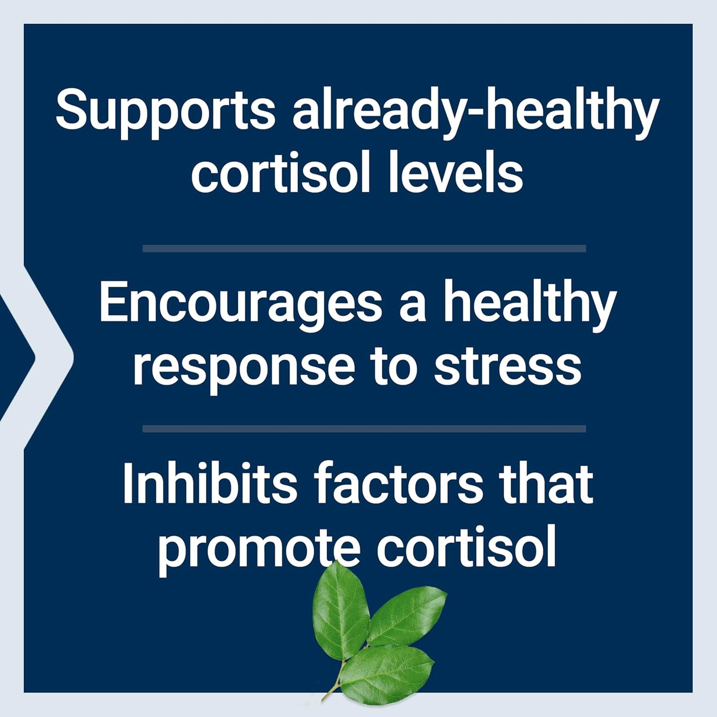 Life Extension Cortisol-Stress Balance - 1-Daily, 30 Capsules