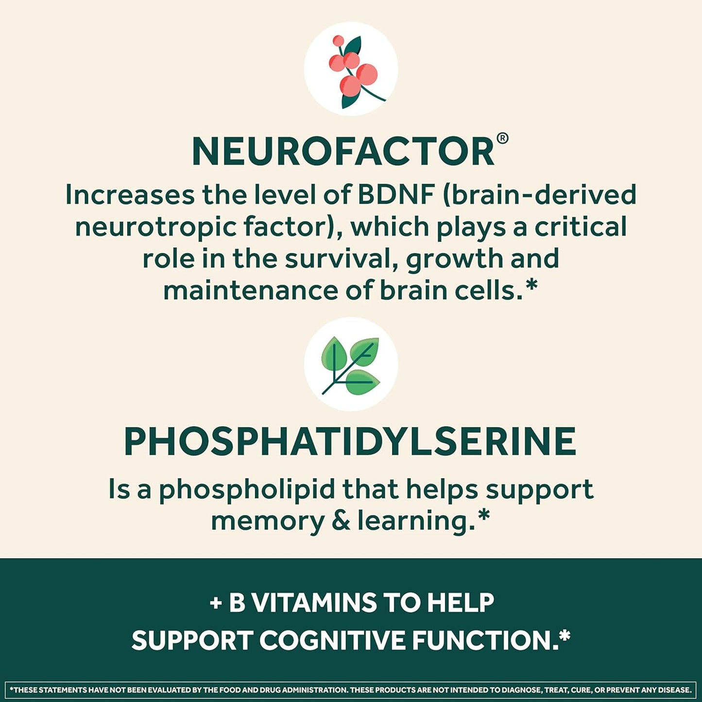 NEURIVA Plus Vegetarian Brain Supplement For Memory, Focus & Concentration + Cognitive Function, Vitamins B6 & B12 and Clinically Tested Nootropics Phosphatidylserine and Neurofactor, 30ct Capsules