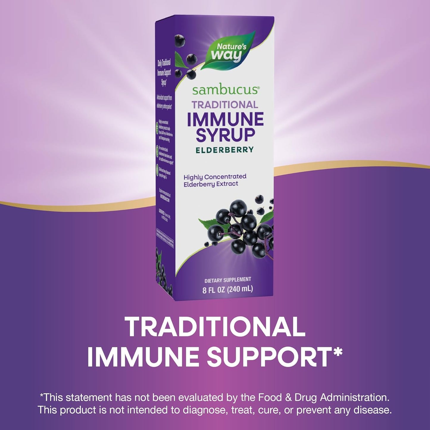 Nature’s Way Sambucus Elderberry Traditional Immune Syrup - 8 Fl Oz (Packaging May Vary)