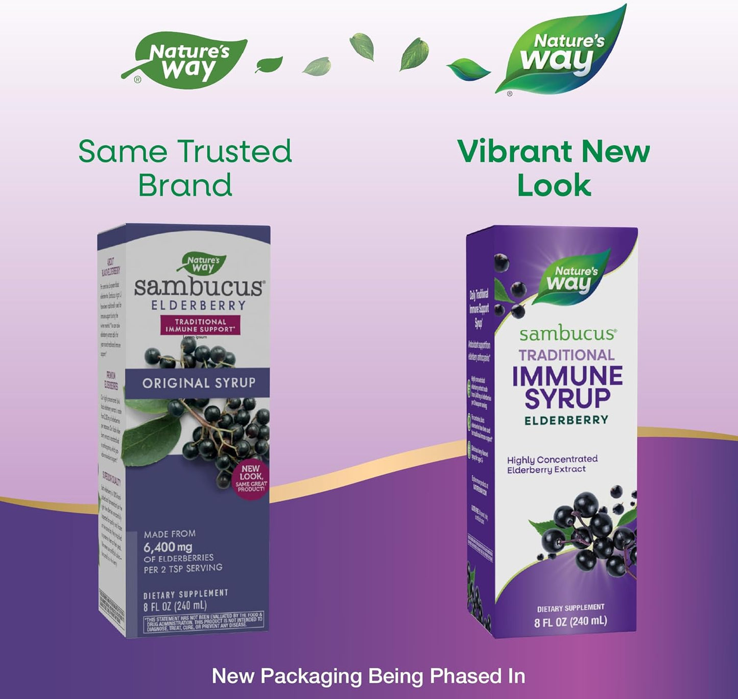 Nature’s Way Sambucus Elderberry Traditional Immune Syrup - 8 Fl Oz (Packaging May Vary)