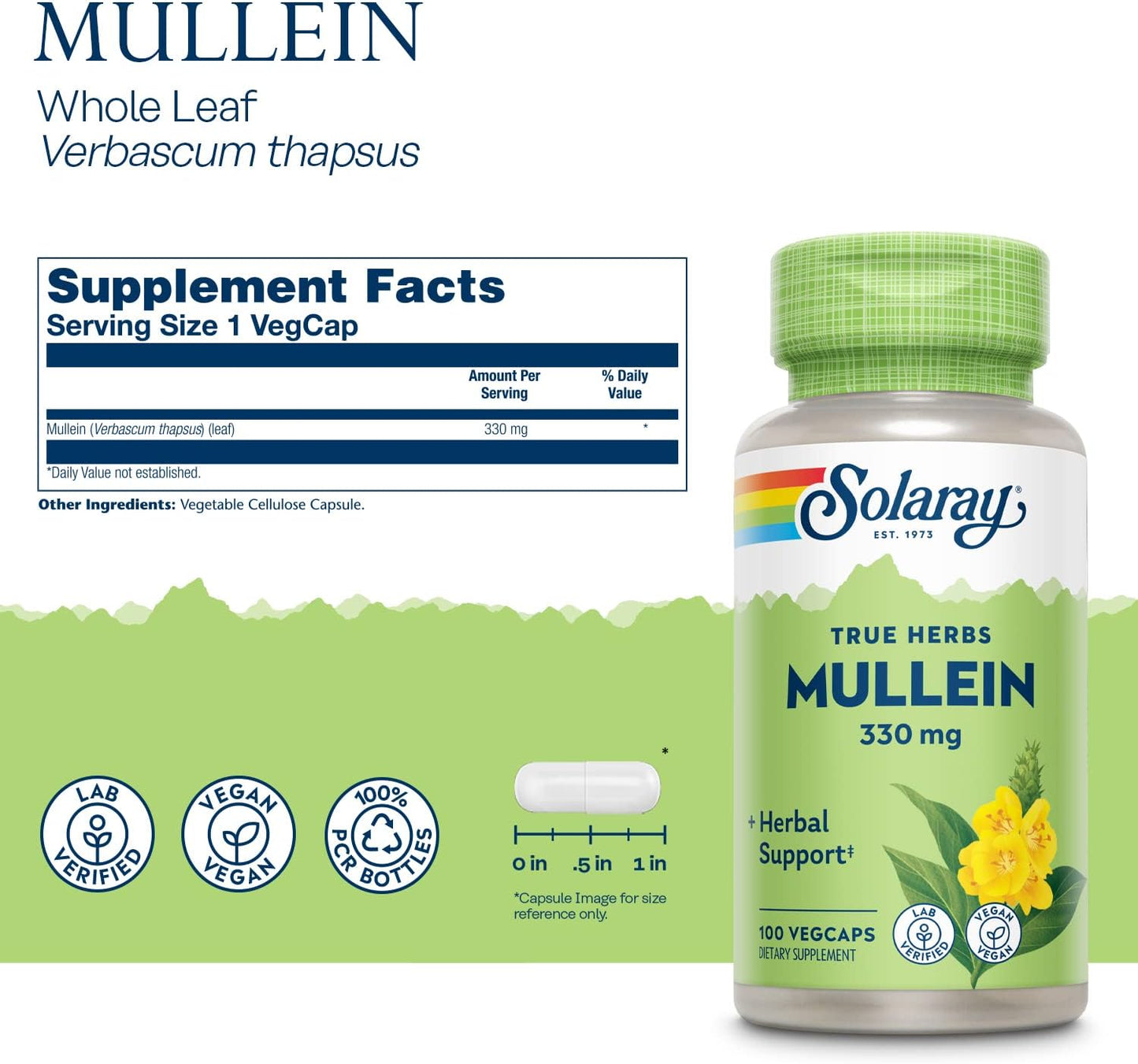 Solaray Mullein Leaf, Herbal Support for Healthy Respiratory and Bronchial Function and Soothing Support, Vegan, 100 Servings, 100 VegCaps