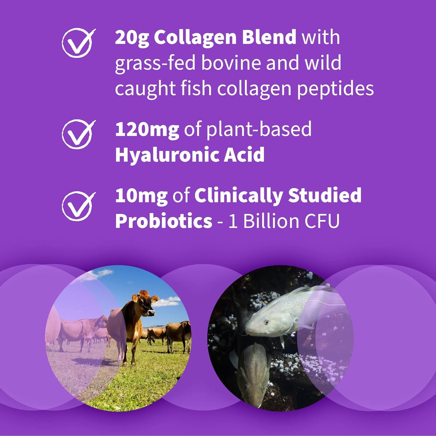 Garden of Life Marine & Grass-Fed Collagen Peptides Powder Supplement (Type I, III) with Probiotics, BCAAs & Hyaluronic Acid for Radiant Hair, Skin & Nails – Unflavored, 20g per Serving, 12 Servings