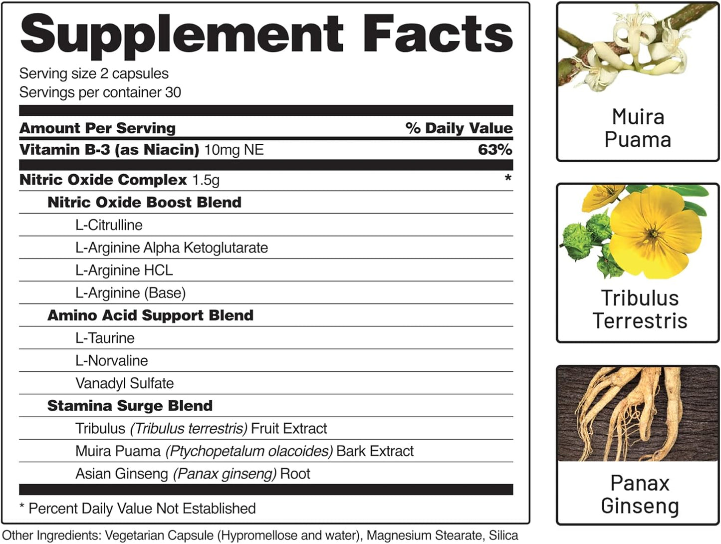 Snap Supplements Nitric Oxide Booster, Nitric Oxide Supplement for Blood Circulation and Blood Flow, 60 Capsules
