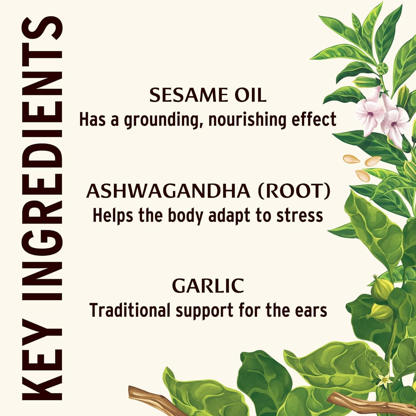 Banyan Botanicals Ear Oil – Organic Herbal Drops with Ashwagandha, Bilva & Garlic – Soothing and Comforting for The Ears – 1 oz – Non GMO Sustainably Sourced No Sting