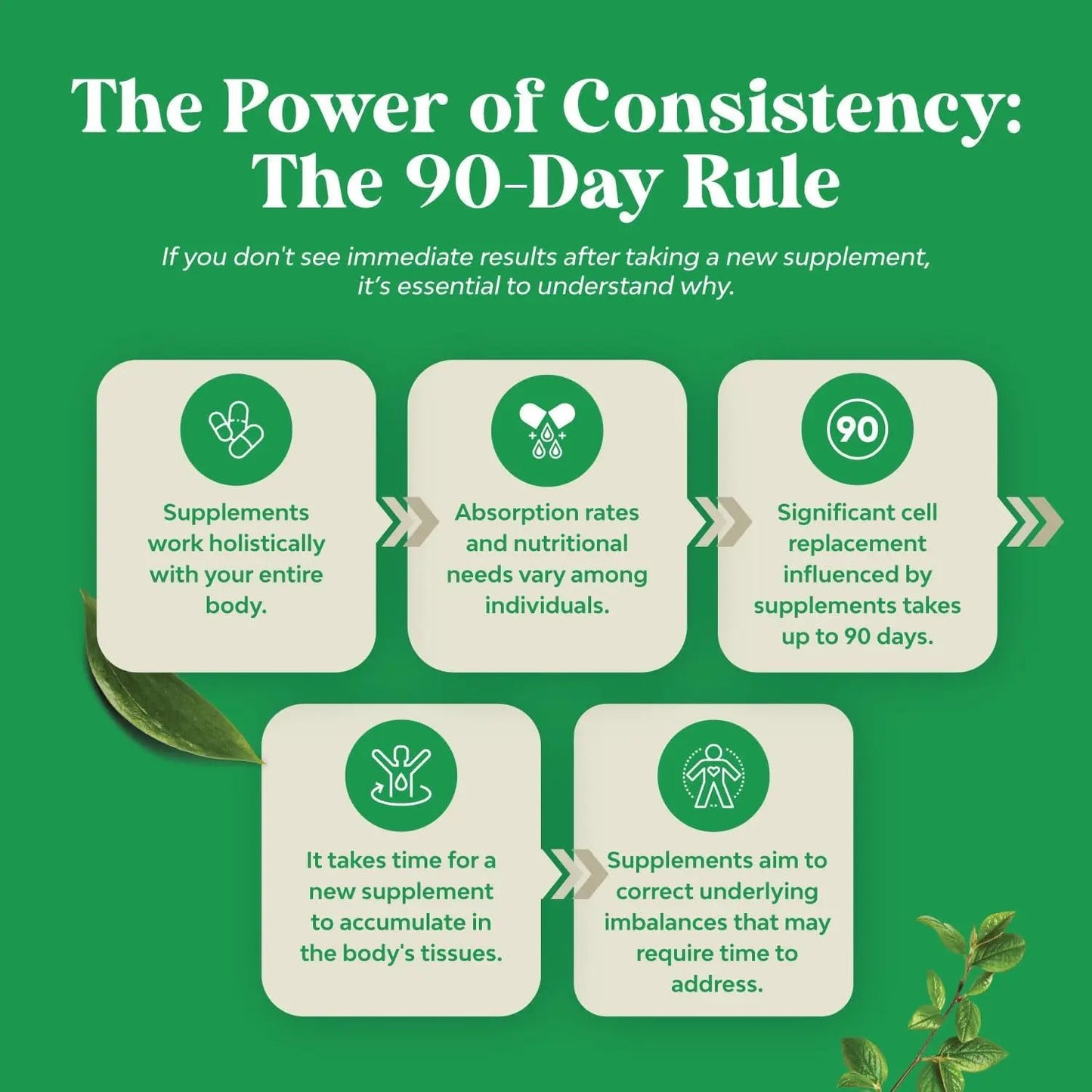 Nature's Craft Green Tea Fat Burner Supplement 60 Capsules Vitamins Depots