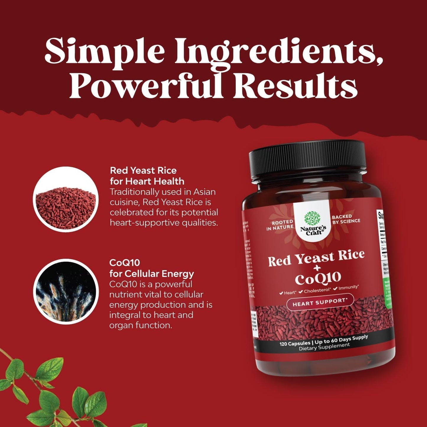 Red Yeast Rice with CoQ10 Supplement - Extra Strength Citrinin-Free Red Yeast Rice 1200 mg. Capsules with CoQ10 100mg - Naturally Occurring Monacolin K Heart Health Supplement - 120 Veggie Capsules