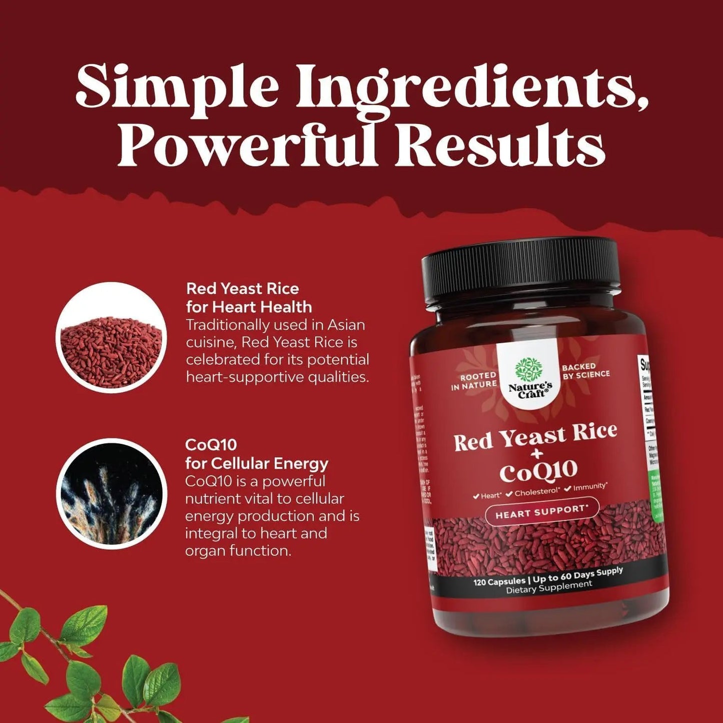 Red Yeast Rice with CoQ10 Supplement - Extra Strength Citrinin-Free Red Yeast Rice 1200 mg. Capsules with CoQ10 100mg - Naturally Occurring Monacolin K Heart Health Supplement - 120 Veggie Capsules Nature's Craft