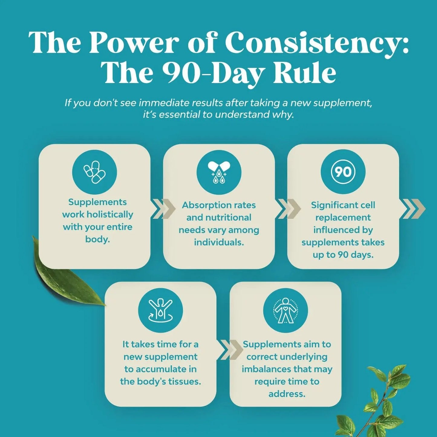 Nature's Craft Vitamin B3 Niacinamide 500mg Capsules - Mitochondrial Energy and Potent Skin Supplement - 60 Count Natures Craft