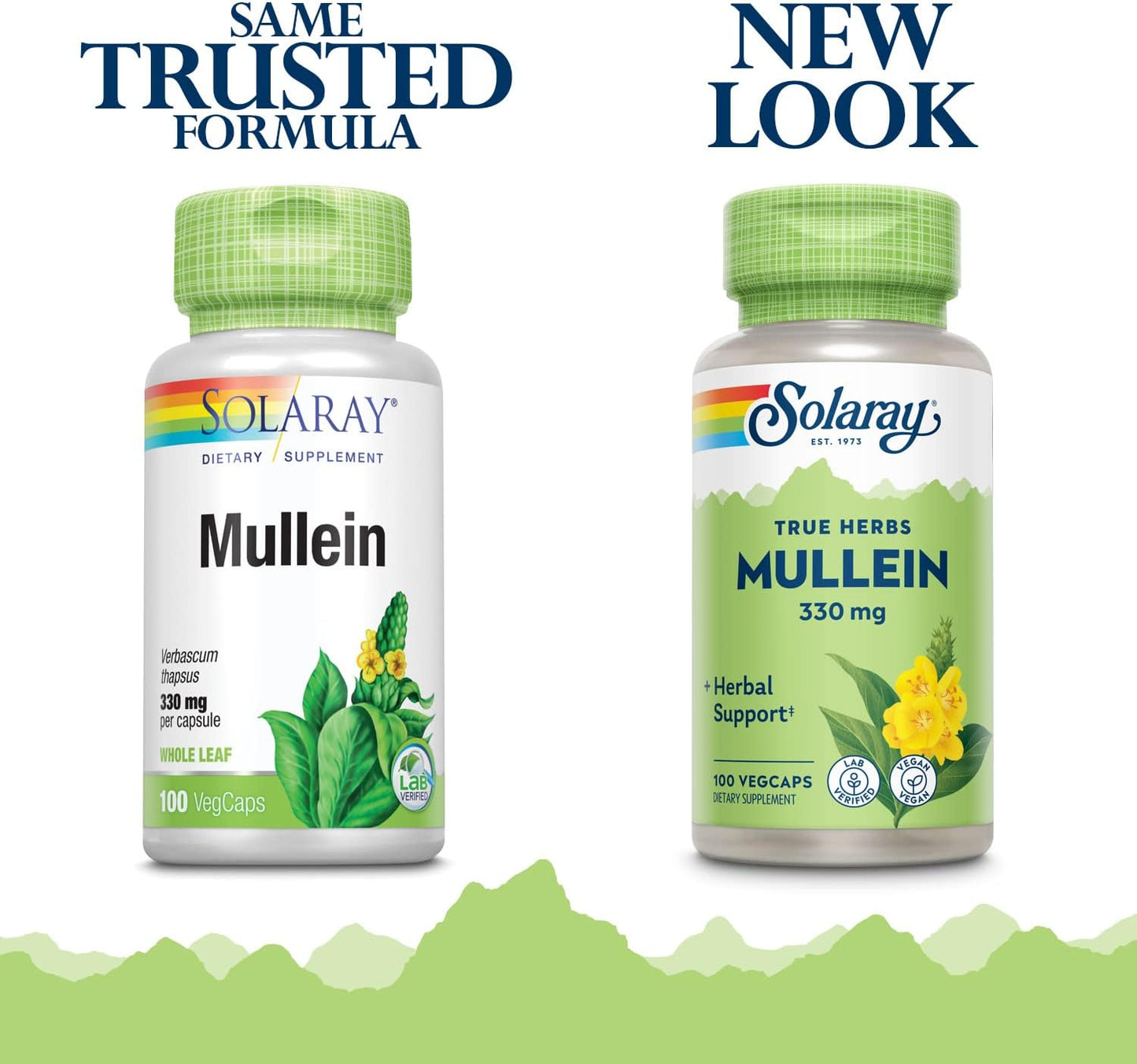 Solaray Mullein Leaf, Herbal Support for Healthy Respiratory and Bronchial Function and Soothing Support, Vegan, 100 Servings, 100 VegCaps