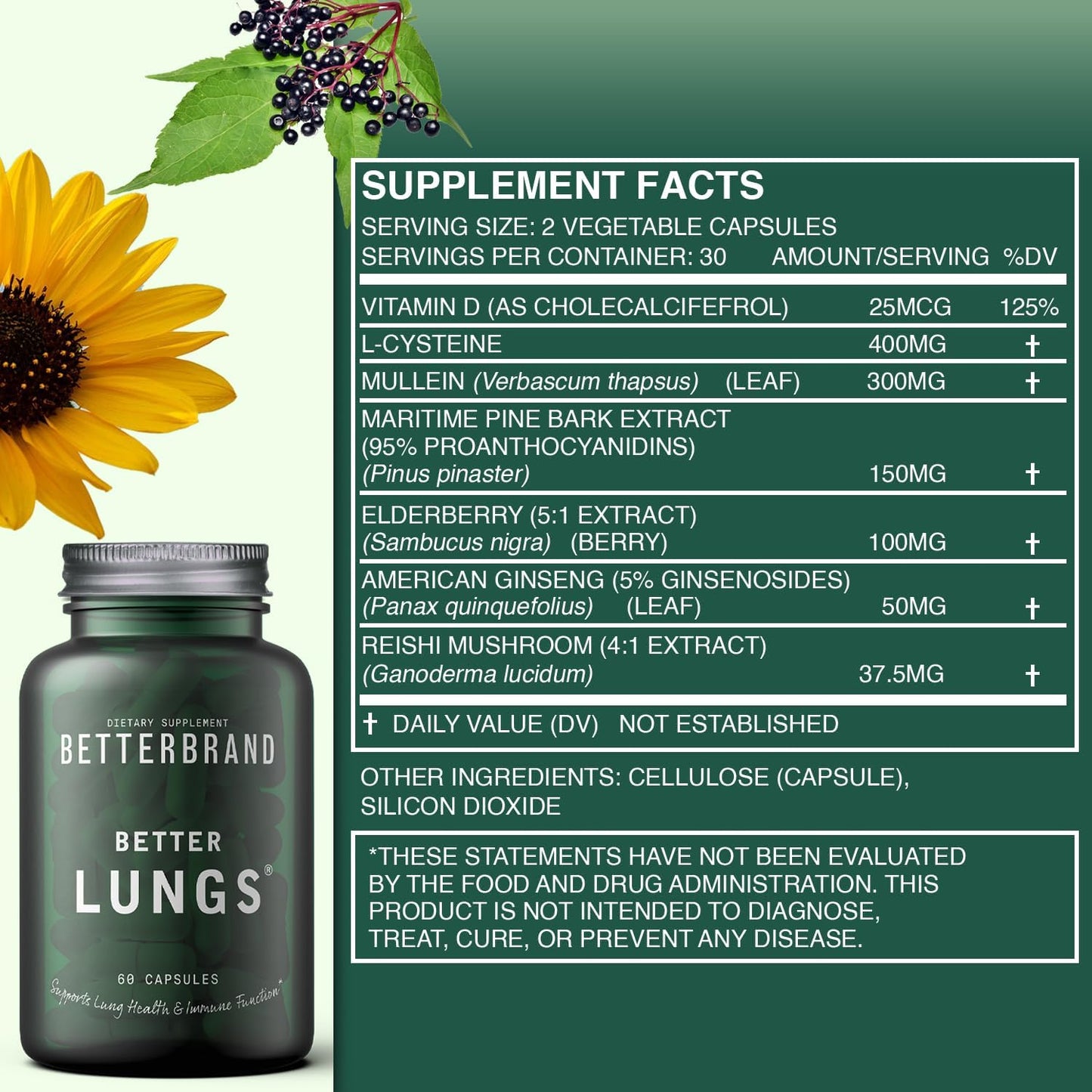BetterLungs Daily Respiratory Health Supplement (60 Capsules) | with Vitamin D, Elderberry, Ginseng, Mullein, and Reishi Mushroom | for Lung Health, Allergy, Sinus, and Mucus Relief