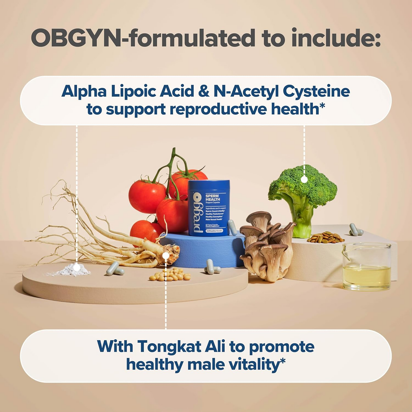 PREGGO Sperm Health Capsules for Men - OBGYN-Formulated for Improved Sperm Count & Motility - 60 Count (Pack of 1)