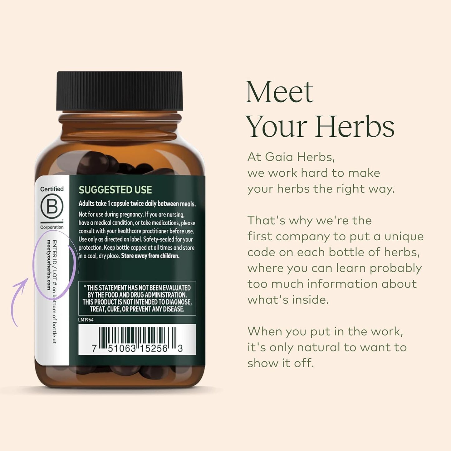 Gaia Herbs Quercetin Synergy - Supports Immunity - with Lemon Fruit Extract - 50 Vegan Capsules (50-Day Supply) Gaia Herbs