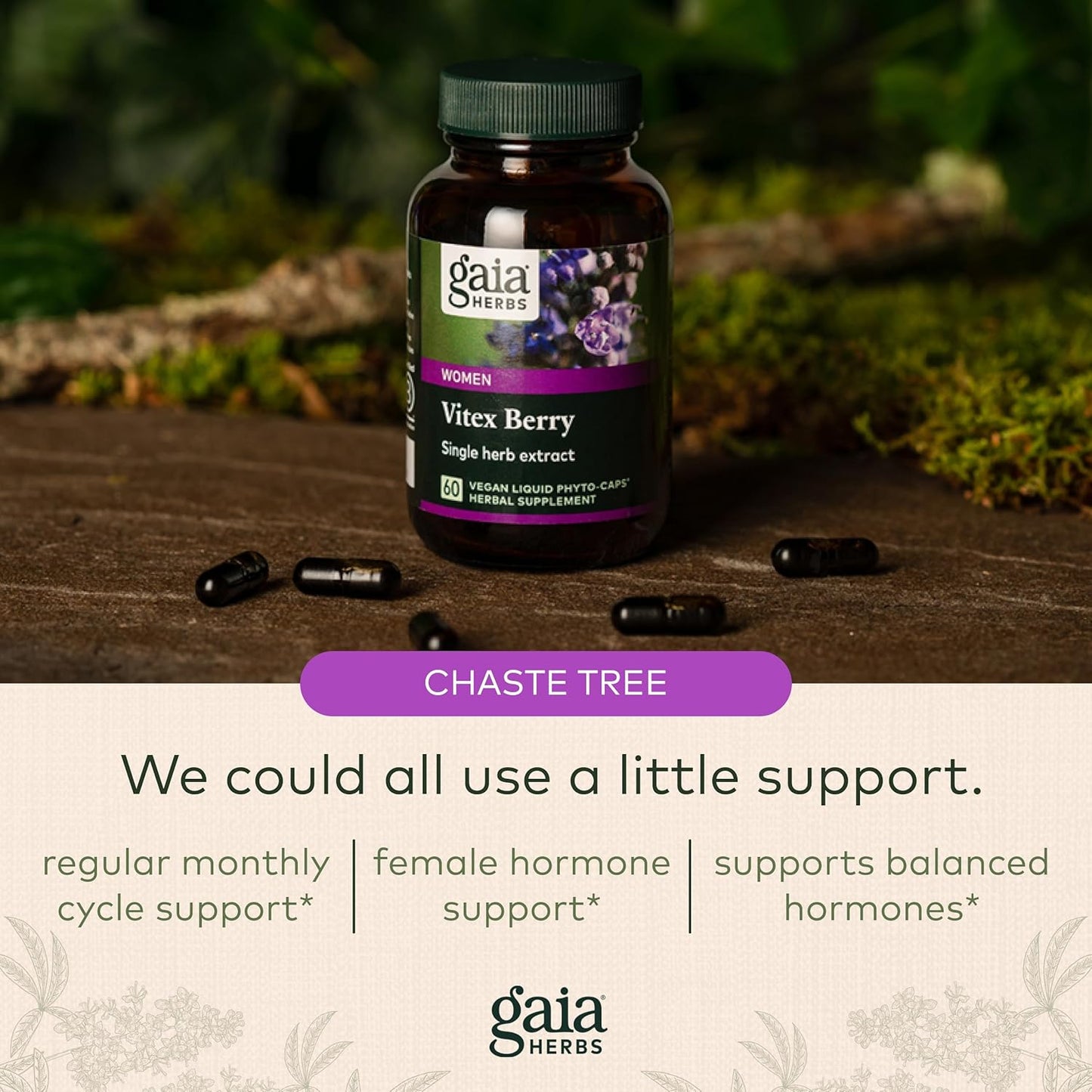 Gaia Herbs Vitex Berry (Chaste Tree) - Supports Hormone Balance & Fertility for Women - Helps Maintain Healthy Progesterone Levels to Support Menstrual Cycle Health - 60 Vegan Caps (30-Day Supply) Gaia Herbs