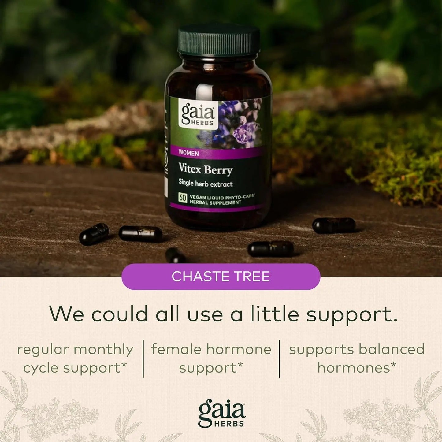 Gaia Herbs Vitex Berry (Chaste Tree) - Supports Hormone Balance & Fertility for Women - Helps Maintain Healthy Progesterone Levels to Support Menstrual Cycle Health - 60 Vegan Caps (30-Day Supply) Gaia Herbs