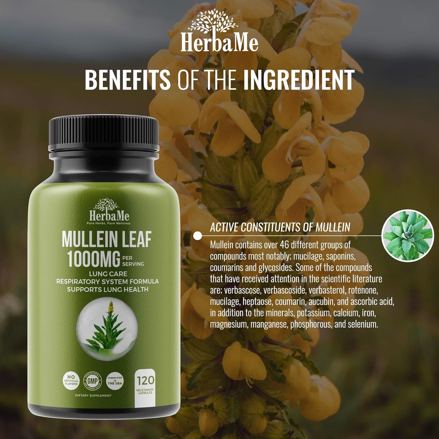 HerbaMe Mullein Leaf 1000mg, 120 Capsules, Detox Lung Cleanse, Supports Respiratory Function Health and Mucous Membranes, Lung Care, Promotes Ear Health, Mucus Relief Herbal Supplement