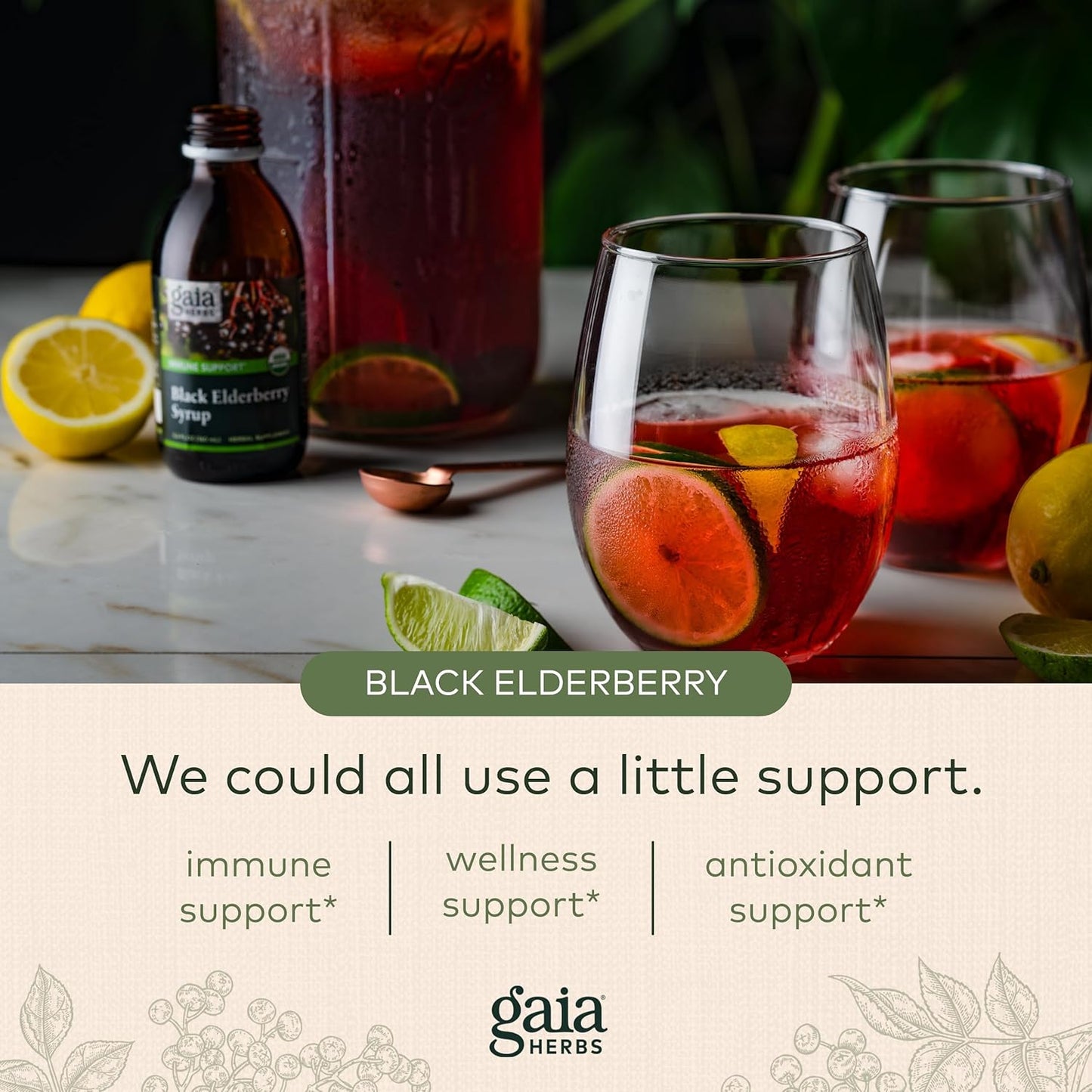 Gaia Herbs Black Elderberry (Sambucus Nigra) Syrup-Immune Support Supplement- Formula-5.4 Fl Oz (32-Day Supply)