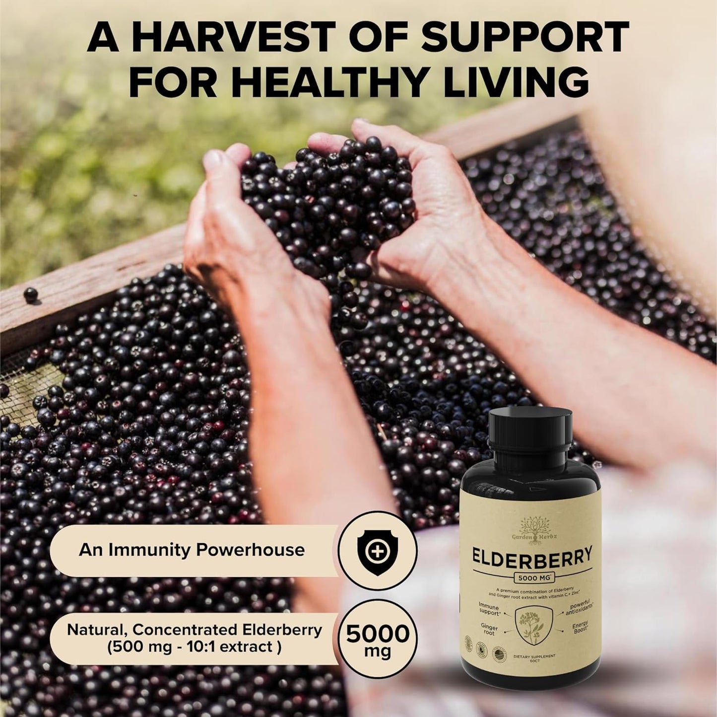 Elderberry with Vitamin C, Zinc, & Ginger – Potent Immune Booster - 60 Caps Garden of Herbz