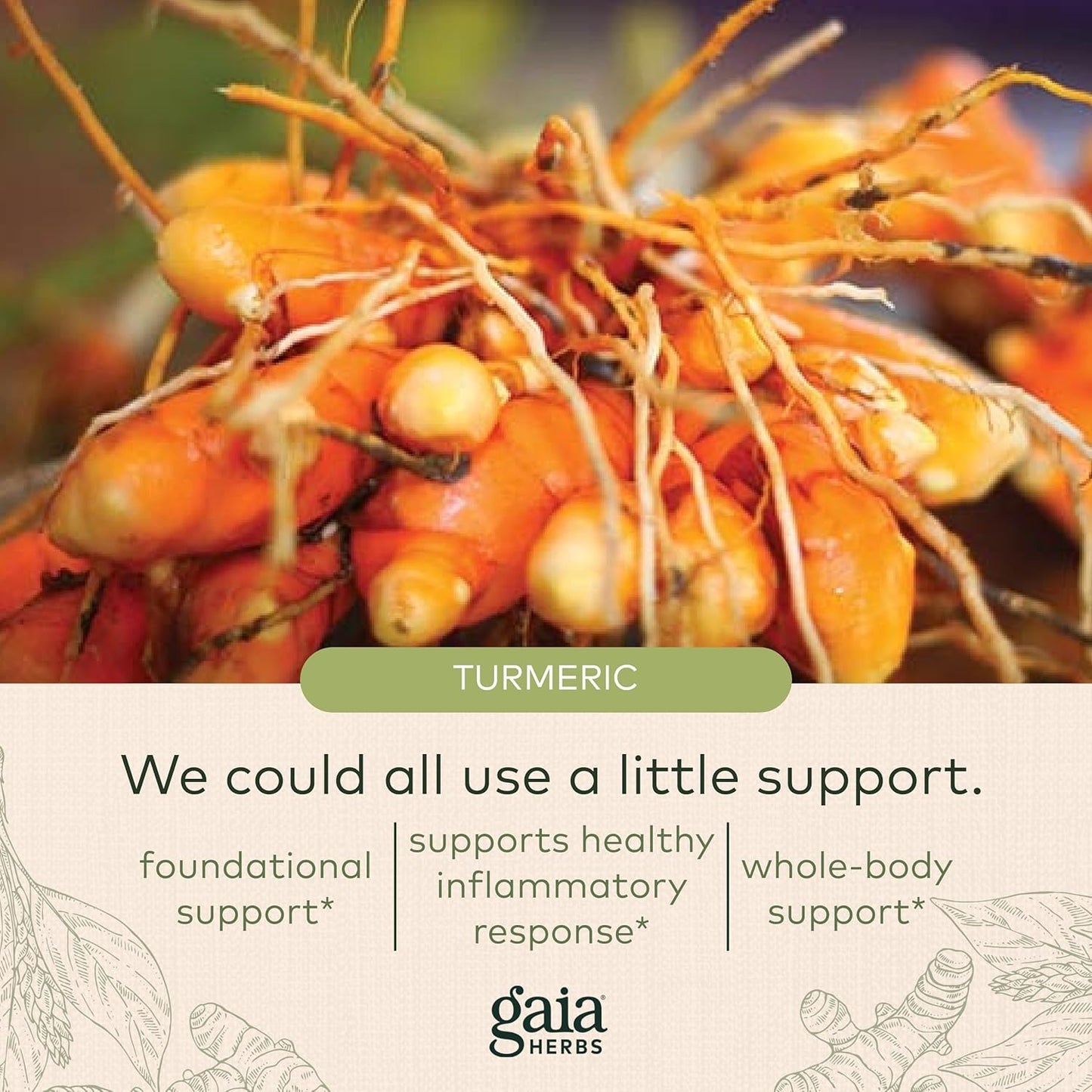 Gaia Herbs Quercetin Synergy - Supports Immunity - with Lemon Fruit Extract - 50 Vegan Capsules (50-Day Supply)