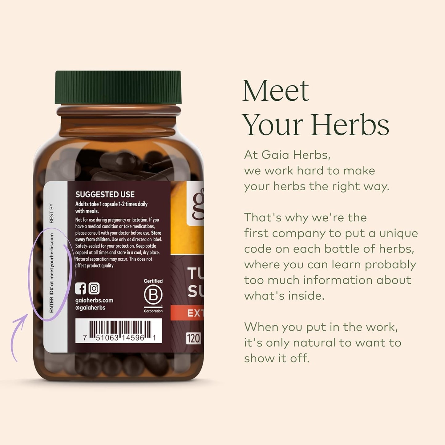Gaia Herbs Black Elderberry (Sambucus Nigra) Syrup-Immune Support Supplement- Formula-5.4 Fl Oz (32-Day Supply)