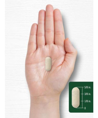 Carlyle Vitamin C 1000mg | 500 Vegetarian Caplets | Ascorbic Acid with Wild Rose Hips | High Strength Formula | Non-GMO and Gluten Free Supplement
