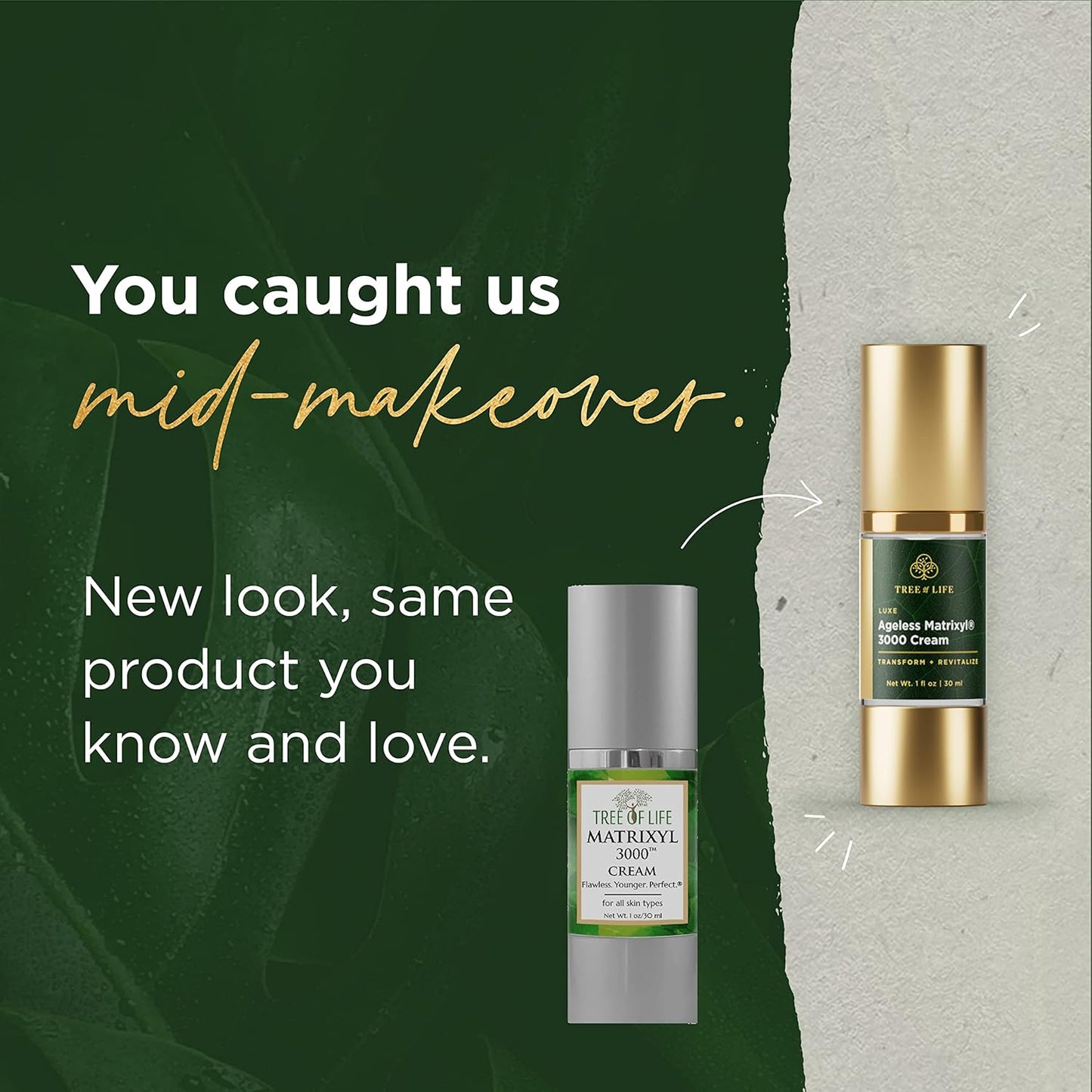 Tree of Life Matrixyl 3000 Anti-Aging Face Cream | Advanced Moisturizer with Polypeptides, 1 Fl Oz