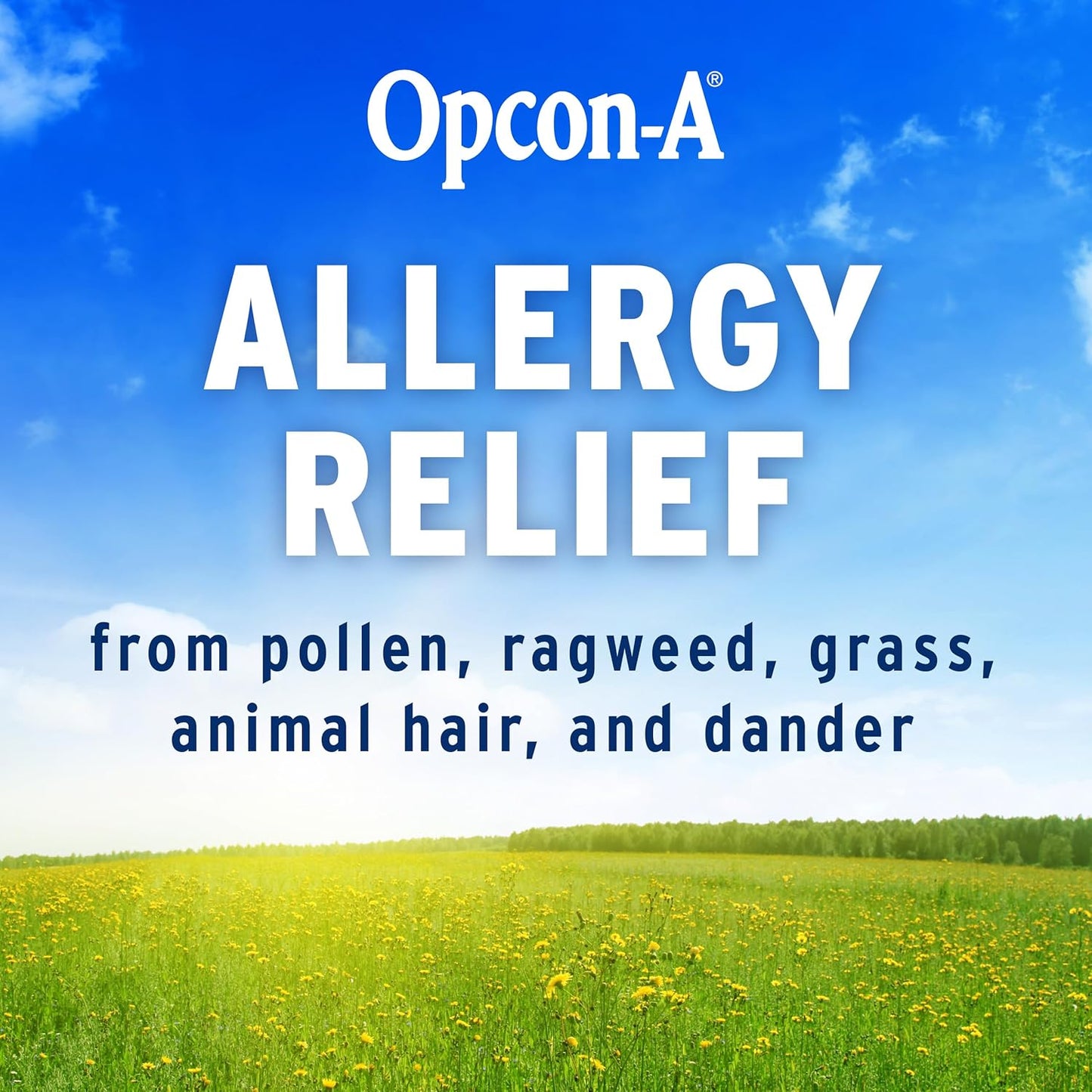 Opcon-A Allergy Eye Drops by Bausch + Lomb 0.5 Fl Oz