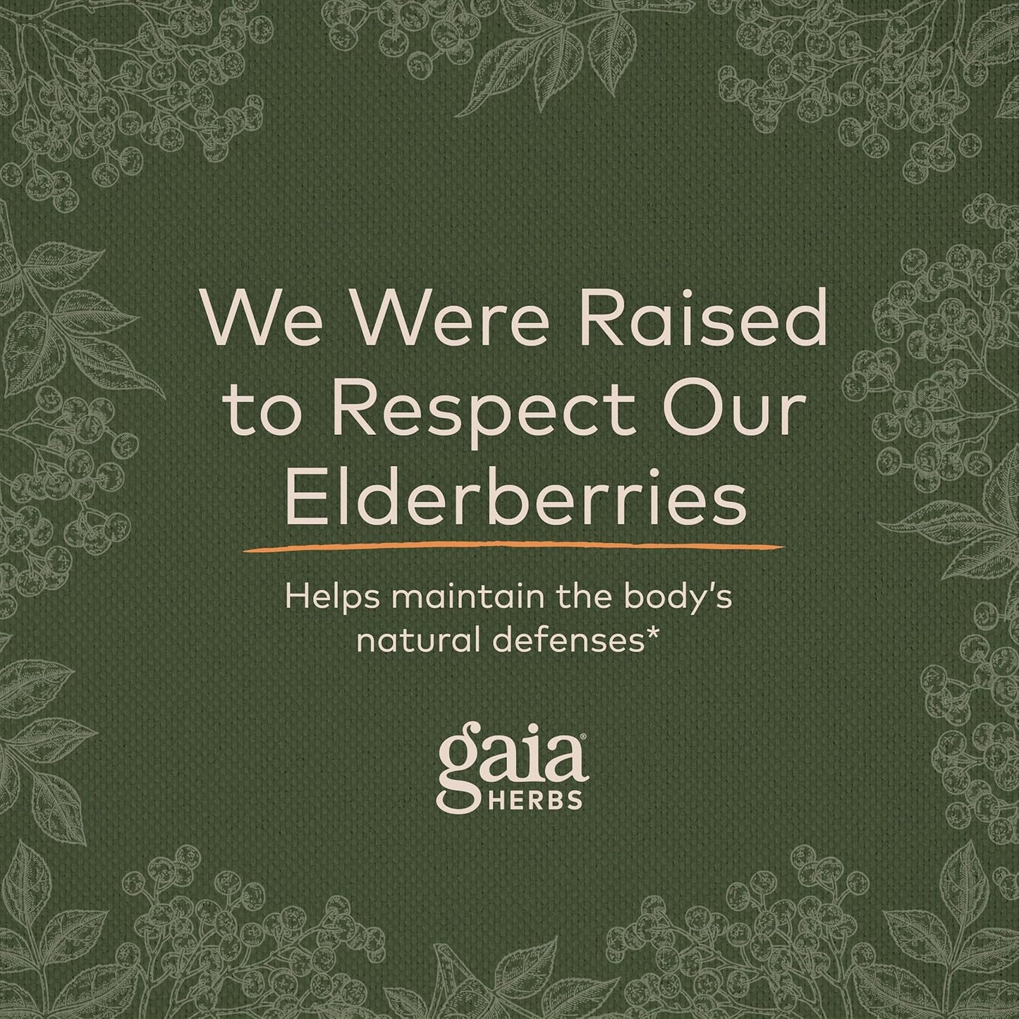 Gaia Herbs Black Elderberry (Sambucus Nigra)for Immune System Support - 40 Gummies