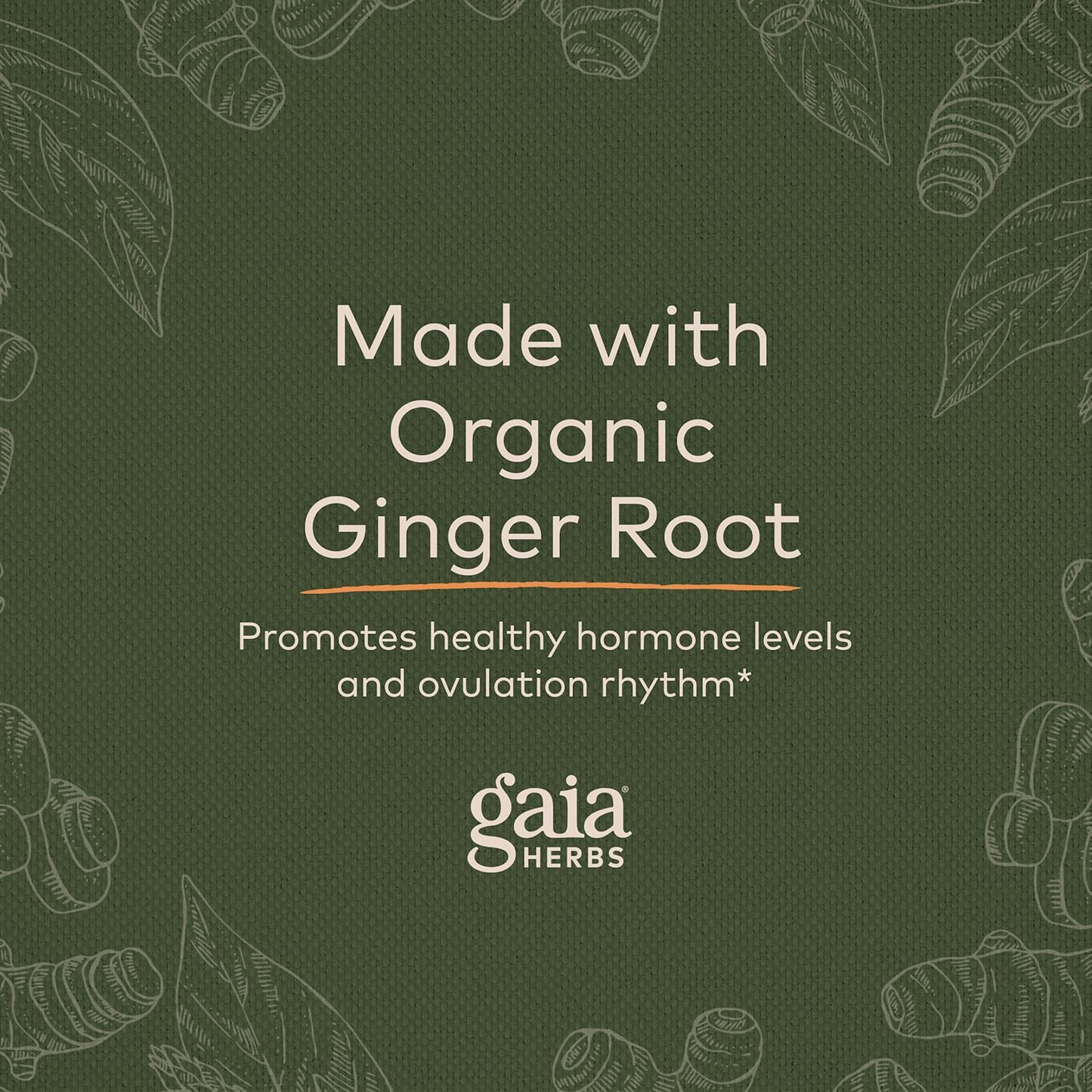 Gaia Herbs Fertility Support - Fertility Supplements & Hormone Balance for Women - 60 Vegan Liquid Phyto-Capsules (30 Servings)