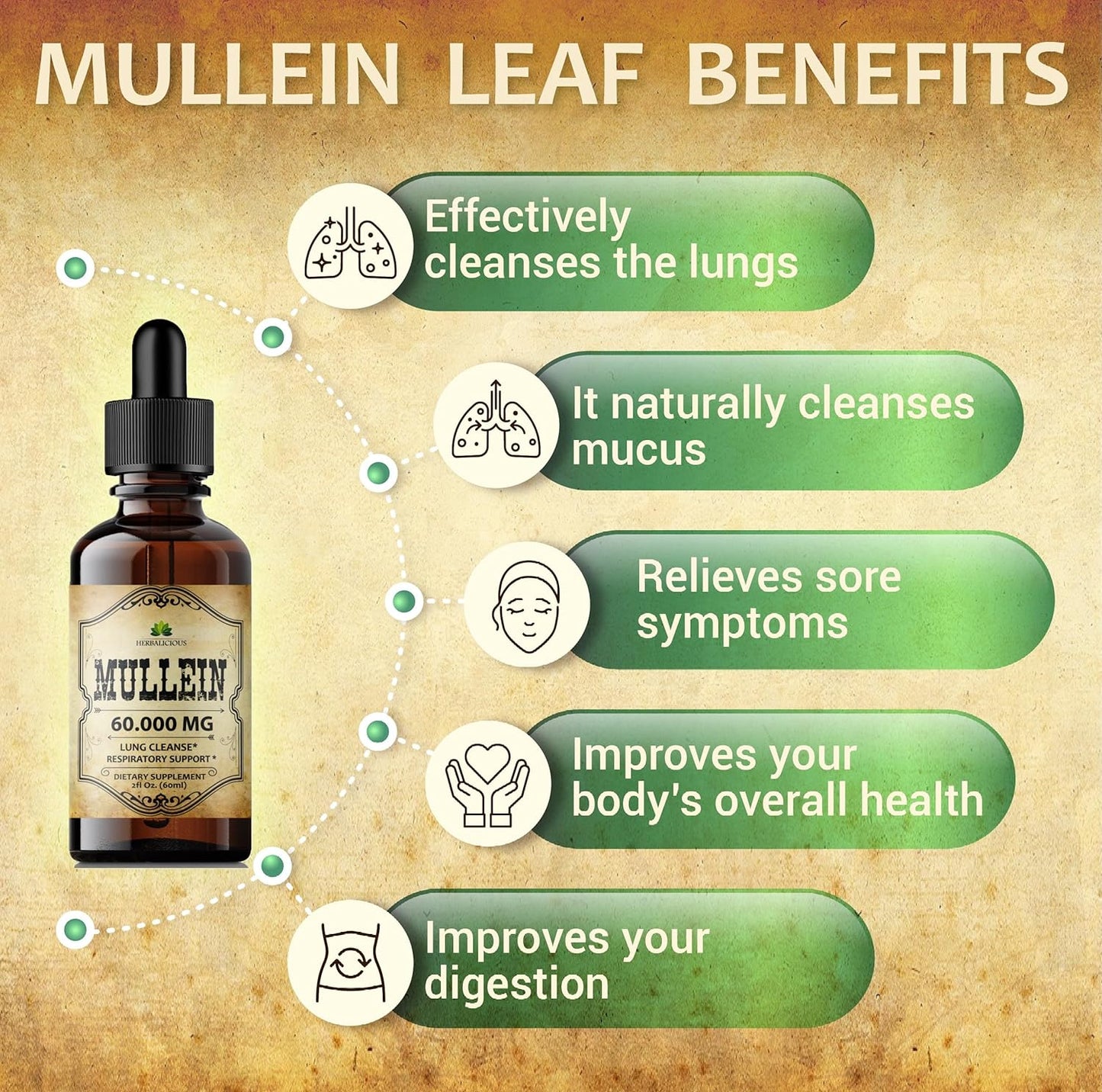 HERBALICIOUS Mullein Leaf Extract - Verbascum Thapsus Liquid Supplement - Herbal Tincture Promoting & Detox Lungs, Respiratory & Digestive Wellness - Lung Cleanse - Vegan Drops, Non-GMO - 2 fl. Oz