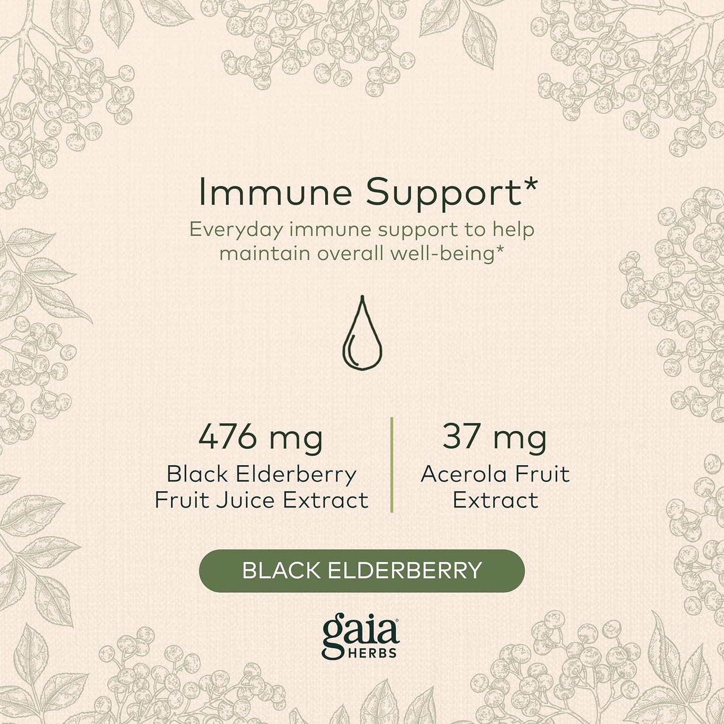 Gaia Herbs Black Elderberry (Sambucus Nigra) Syrup-Immune Support Supplement- Formula-5.4 Fl Oz (32-Day Supply)