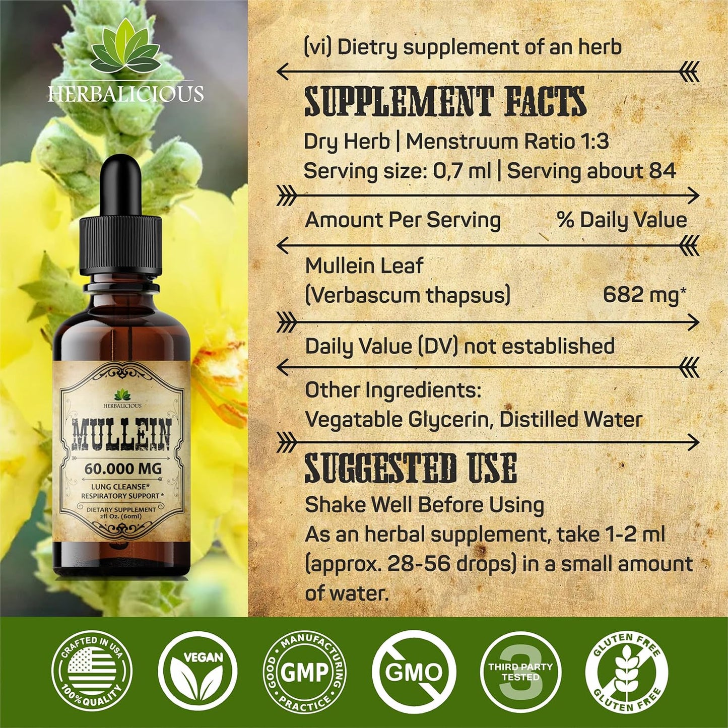 HERBALICIOUS Mullein Leaf Extract - Verbascum Thapsus Liquid Supplement - Herbal Tincture Promoting & Detox Lungs, Respiratory & Digestive Wellness - Lung Cleanse - Vegan Drops, Non-GMO - 2 fl. Oz