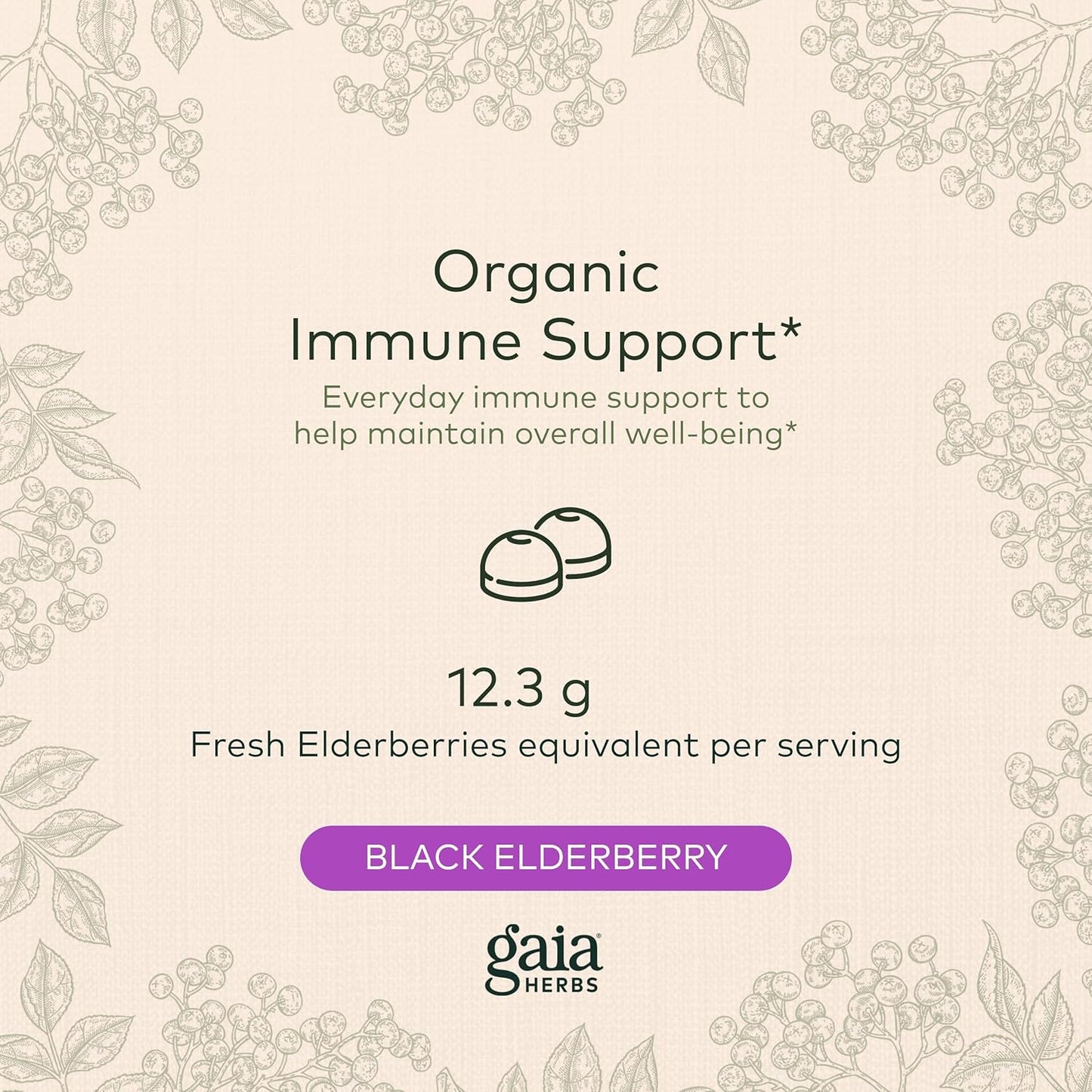 Gaia Herbs Black Elderberry (Sambucus Nigra)for Immune System Support - 40 Gummies