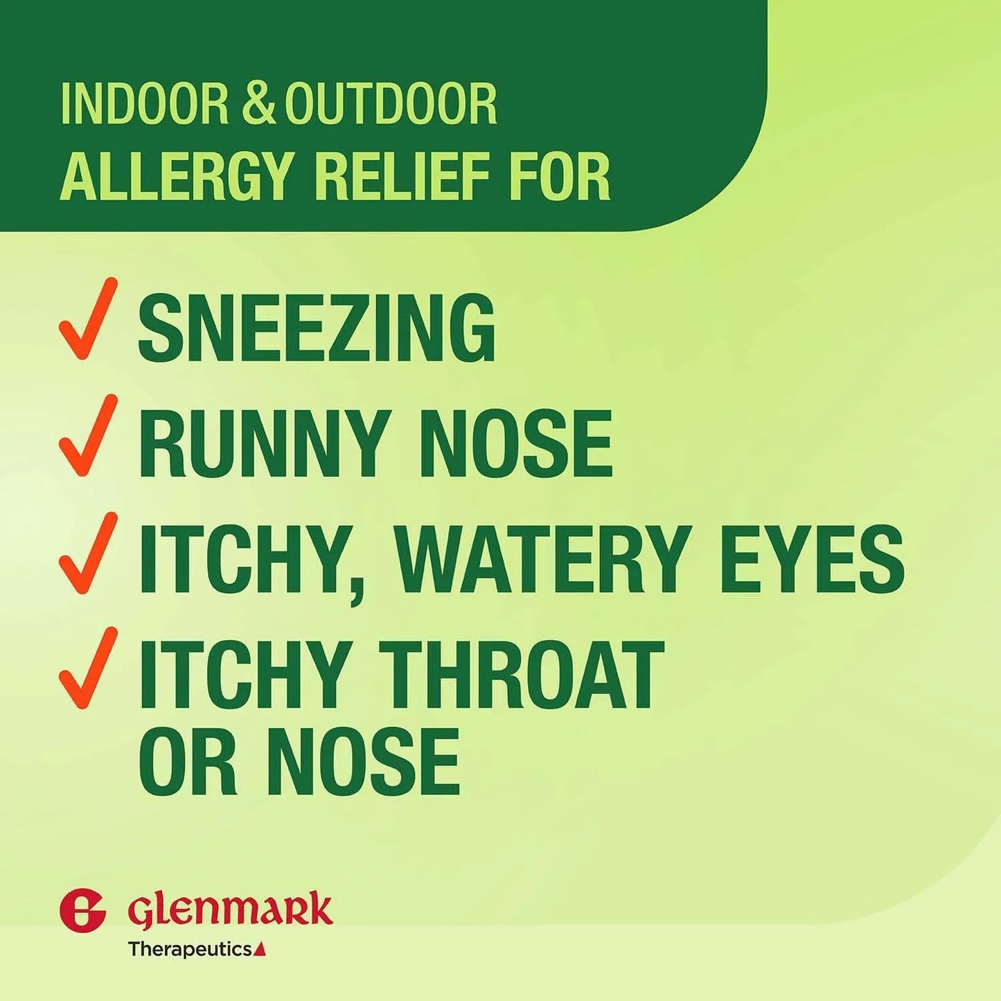 Glenmark Therapeutics 24-Hour Allergy Medicine, 10mg 365 Count