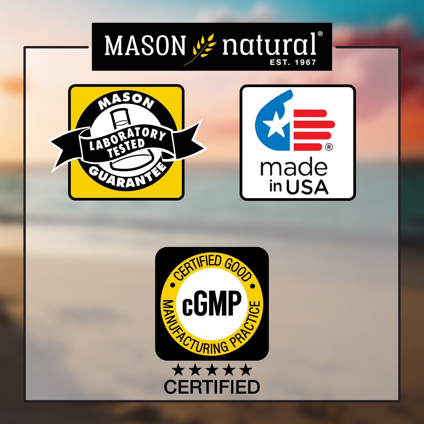 Mason Natural Men's Daily Formula Tablets