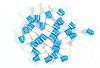 Healthspan Plus Labs Spermidine