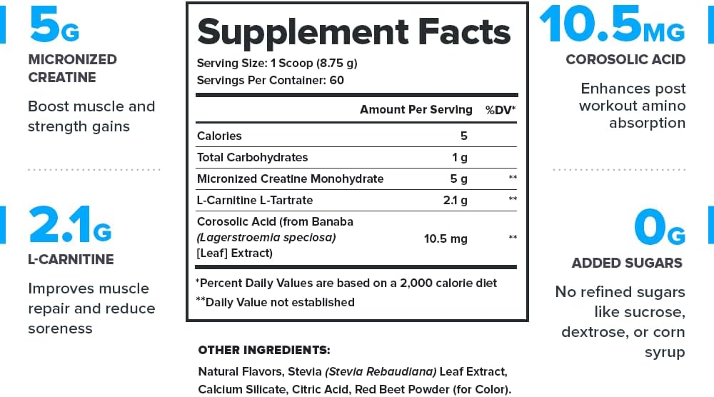 LEGION Recharge Post Workout Supplement - All Natural Muscle Builder & Recovery Drink with Micronized Creatine Monohydrate Naturally Sweetened & Flavored, (Strawberry Lemonade, 30 Serve)