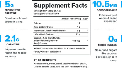 LEGION Recharge Post Workout Supplement - All Natural Muscle Builder & Recovery Drink with Micronized Creatine Monohydrate Naturally Sweetened & Flavored, (Strawberry Lemonade, 30 Serve)